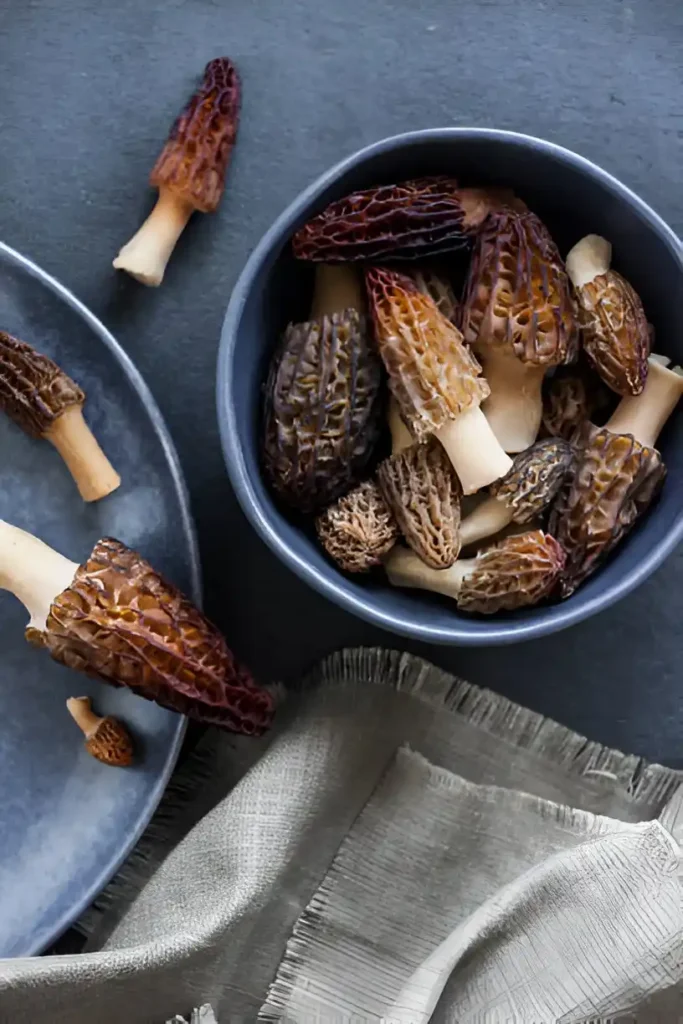 bol de morilles fraîches brunâtres sur nappe en lin beige, ingrédient clé du poulet aux morilles et vin jaune du Jura